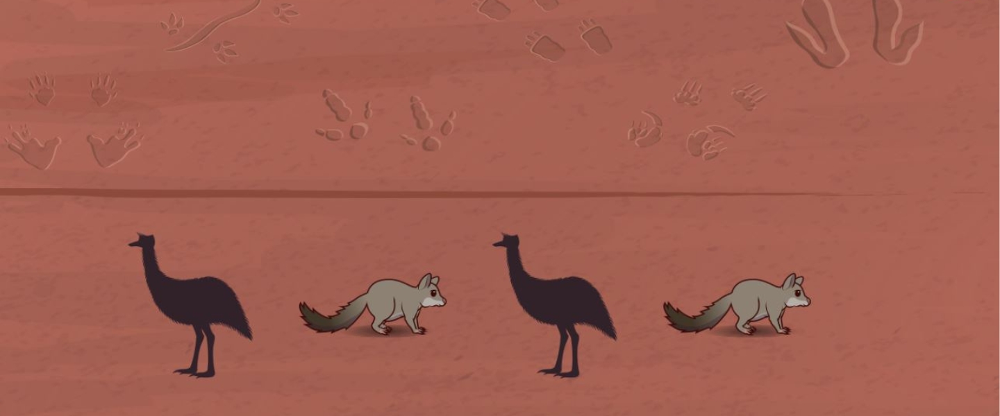 A line of native animals walks in the foreground.  There are various tracks above them in this drawing.