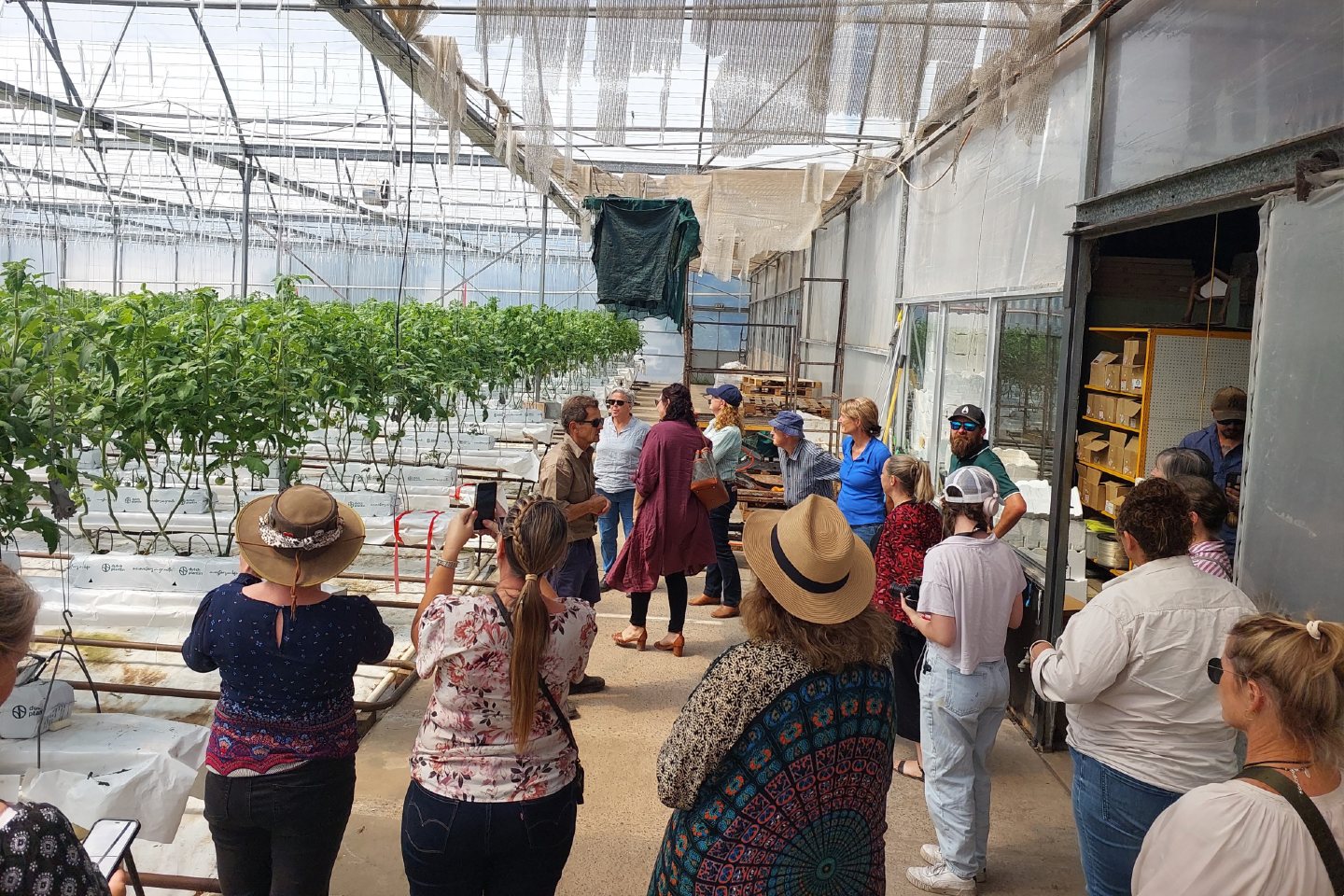 Photo of educators standing in a commercial greenhouse, listening to someone talking. There are rows of tall green plants behind the people.